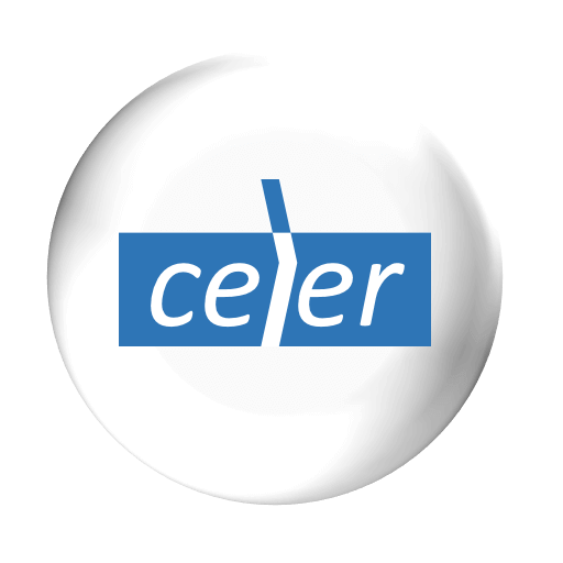 Logo Revista CelerSMS